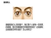 4.6  跨學科實踐：眼睛  課件  2025-2026學年物理教科版（2024）八年級上冊