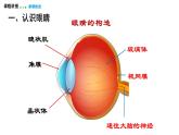 4.6  跨學科實踐：眼睛  課件  2025-2026學年物理教科版（2024）八年級上冊