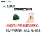 4.6  跨學科實踐：眼睛  課件  2025-2026學年物理教科版（2024）八年級上冊