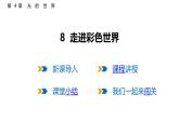 4.8  走進(jìn)彩色世界  課件  2025-2026學(xué)年物理教科版（2024）八年級上冊