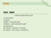 20.5 跨學(xué)科實(shí)踐：制作簡易直流電動(dòng)機(jī)—初中物理九年級全一冊 同步教學(xué)課件（人教版2024）
