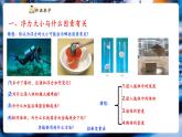 【新教材核心素養(yǎng)】教科版物理八年級下冊10.3《科學(xué)探究：浮力的大小》（課件+教學(xué)設(shè)計(jì)+導(dǎo)學(xué)案附答案）