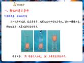 【新教材核心素養(yǎng)】教科版物理八年級下冊10.4《沉與浮》（課件+教學(xué)設(shè)計(jì)+導(dǎo)學(xué)案附答案）