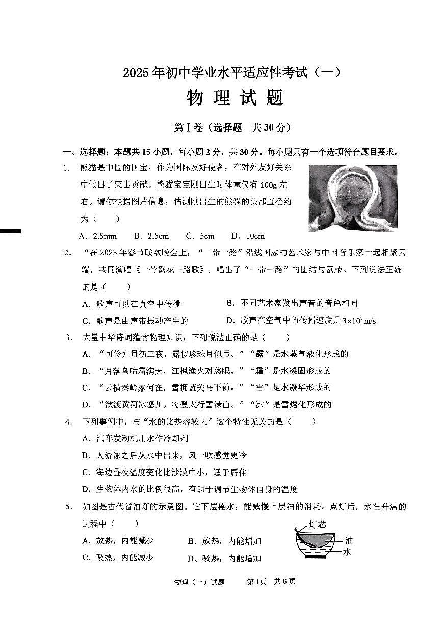 2025年山东省枣庄市峄城区一模物理试题第1页