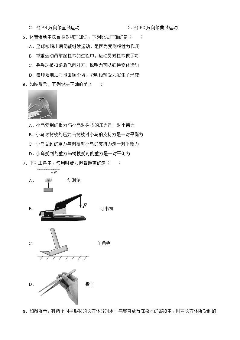 广东省深圳市龙华区2025年八年级下学期期末考试物理试题及答案第2页