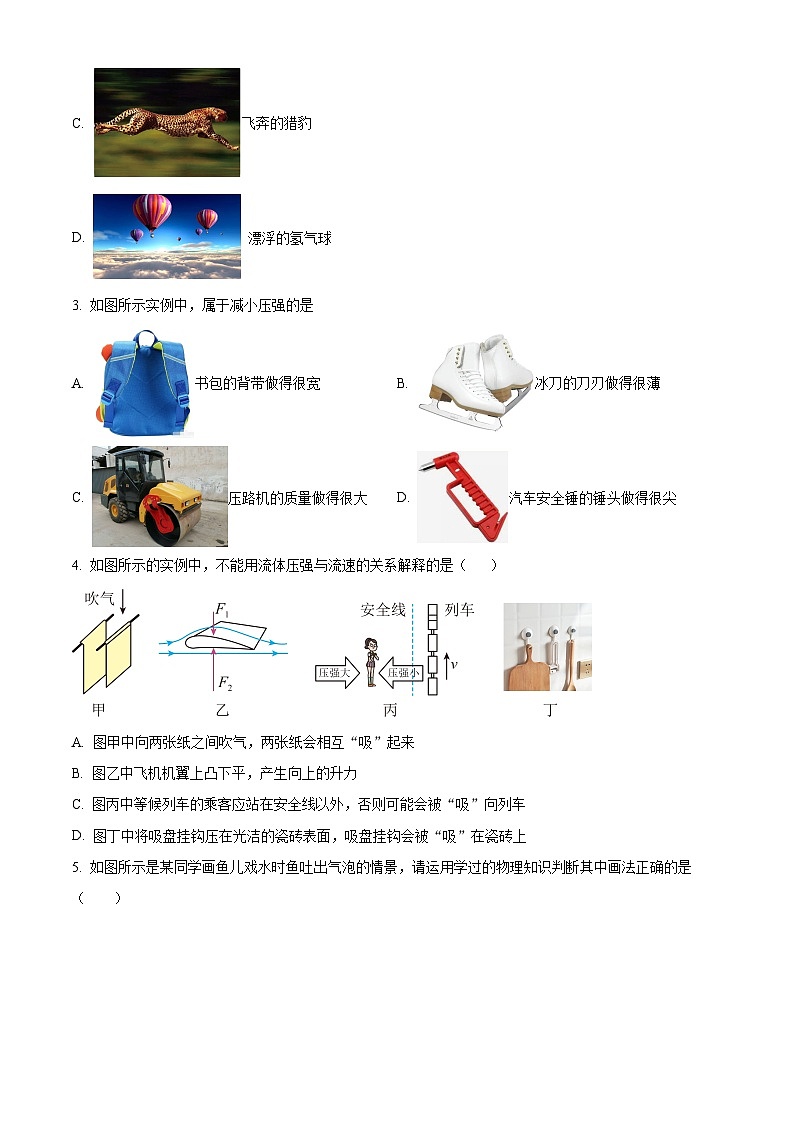 重庆市长寿区长寿中学校2024-2025学年八年级下学期期中物理试题第2页