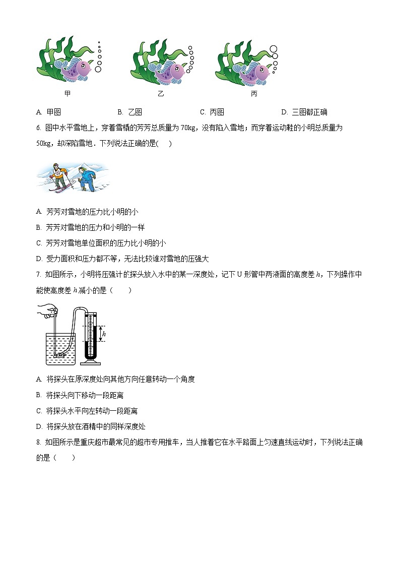 重庆市长寿区长寿中学校2024-2025学年八年级下学期期中物理试题第3页