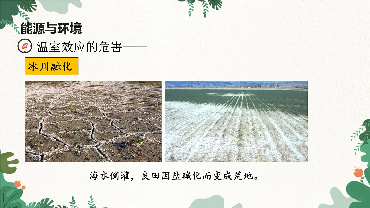 沪粤版物理九年级下册20.4 能源、环境与可持续发展课件第6页