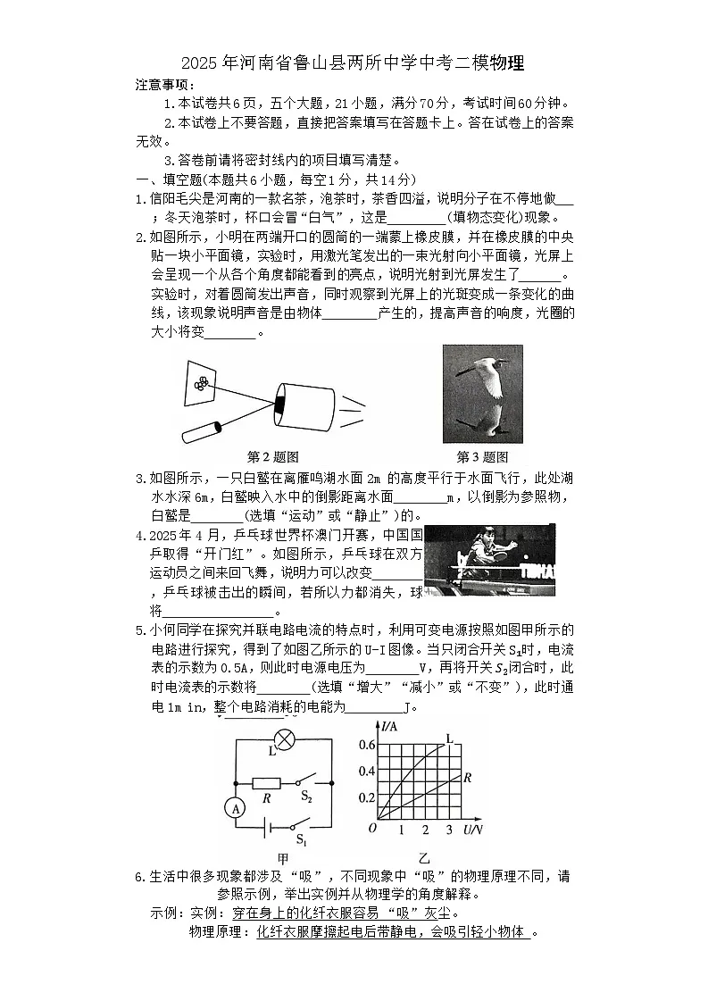 2025年河南省平顶山市鲁山县两所中学中考二模物理试题（中考模拟）第1页