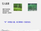 12.4 機械效率 課件 2024-2025學年物理人教版八年級下冊