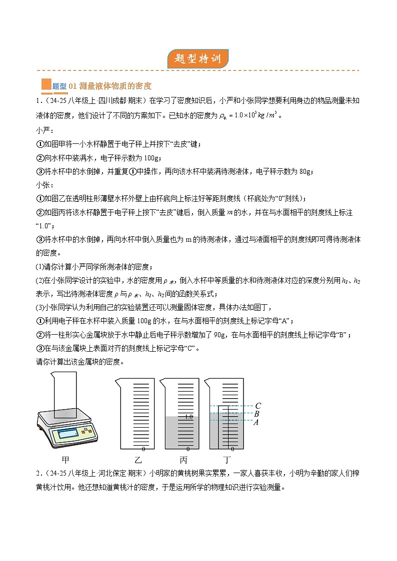 专题04  实验专题突破（原卷版）第2页