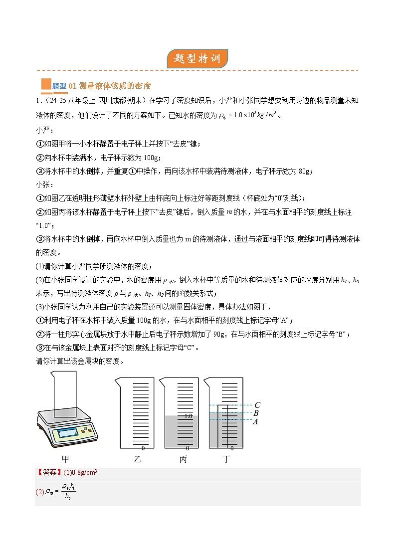 专题04  实验专题突破（解析版）第2页
