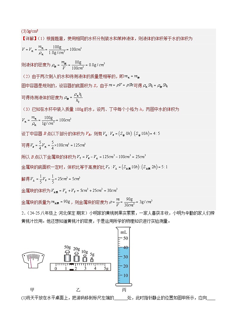 专题04  实验专题突破（解析版）第3页