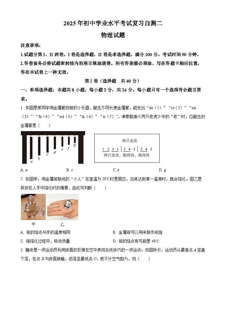 2025年山东省潍坊市诸城市中考二模物理试题 （中考模拟）第1页