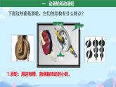 12.3 滑輪 課件 2024-2025學(xué)年物理人教版八年級下冊