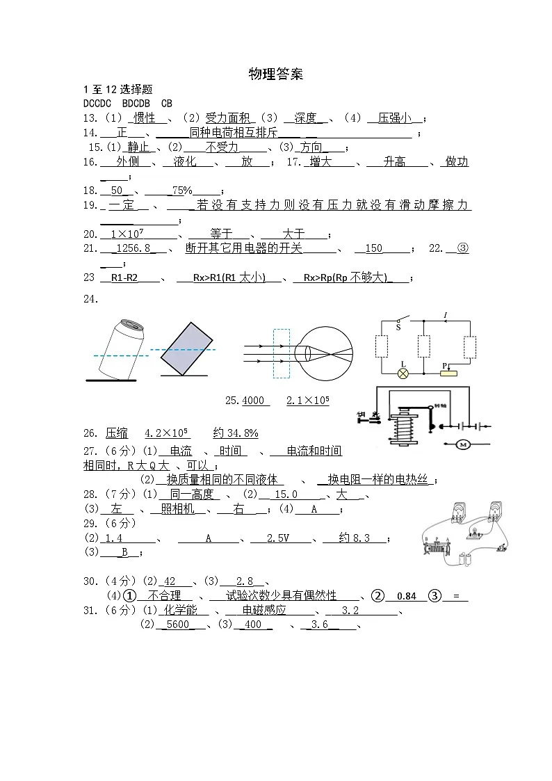 2025年江苏省仪征市实验中学教育集团九年级中考三模物理答案 第1页