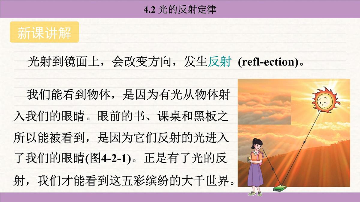 教科版（2024）八年级物理上册 4.2 光的反射定律（课件）第5页