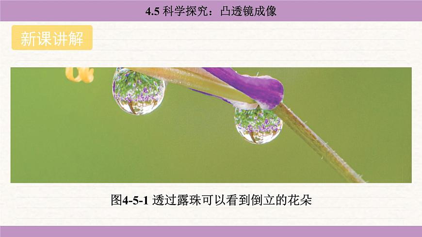 教科版（2024）八年级物理上册 4.5 科学探究：凸透镜成像（课件）第4页