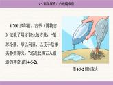 教科版（2024）八年級物理上冊 4.5 科學(xué)探究：凸透鏡成像（課件）