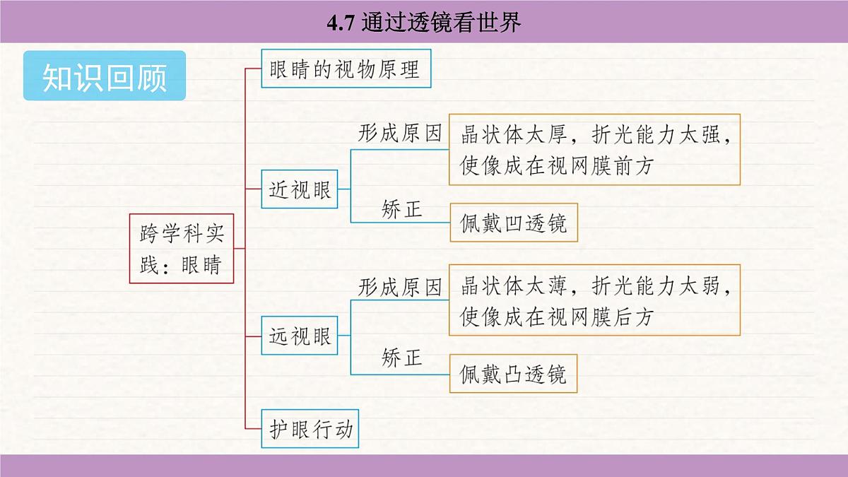 教科版（2024）八年级物理上册 4.7 通过透镜看世界（课件）第2页