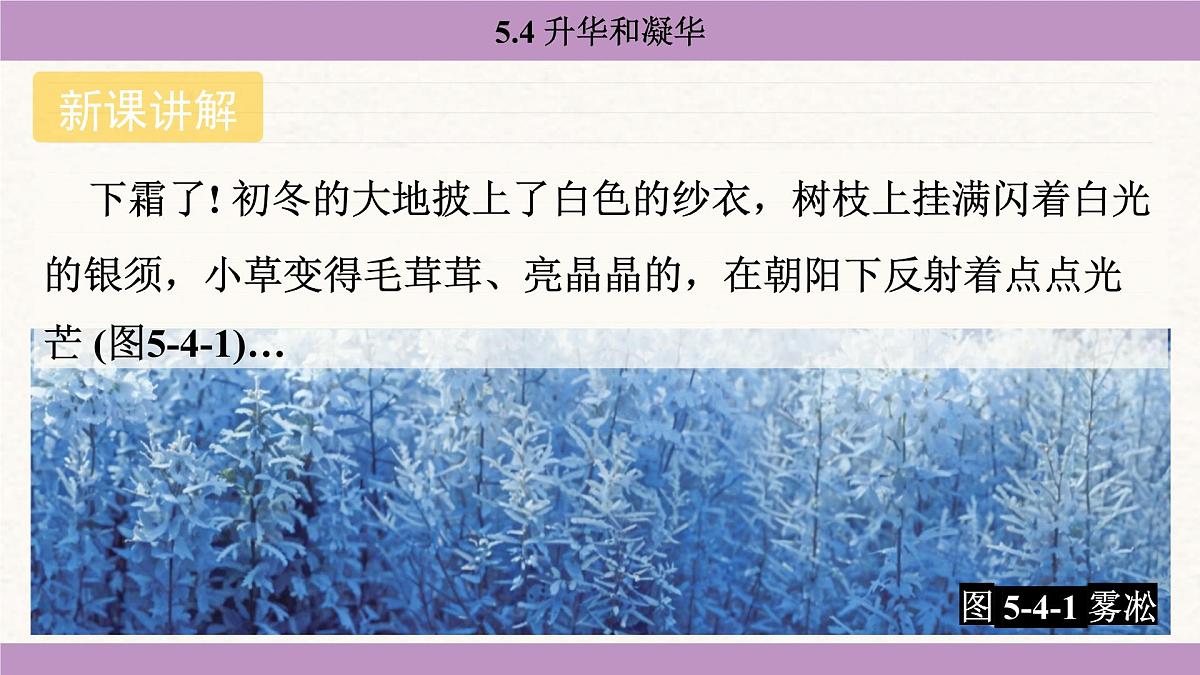 教科版（2024）八年级物理上册 5.4 升华和凝华（课件）第4页
