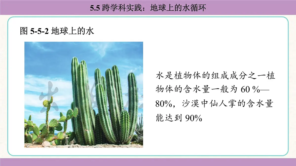 教科版（2024）八年级物理上册 5.5 跨学科实践：地球上的水循环（课件）第8页