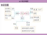 滬粵版（2024）八年級物理上冊 4.3 熔化和凝固（課件）