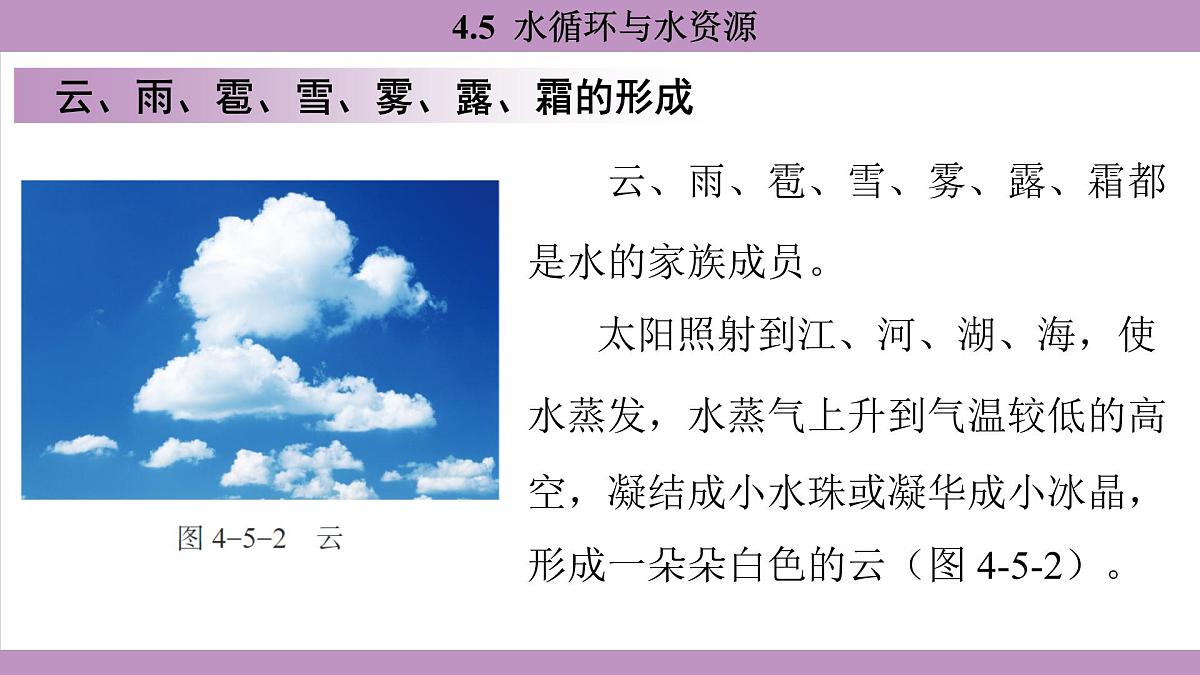 沪粤版（2024）八年级物理上册 4.5 水循环与水资源（课件）第5页