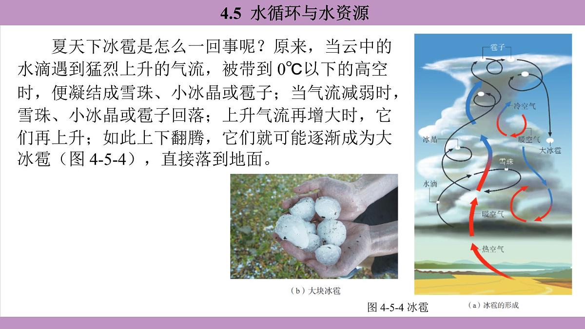沪粤版（2024）八年级物理上册 4.5 水循环与水资源（课件）第7页