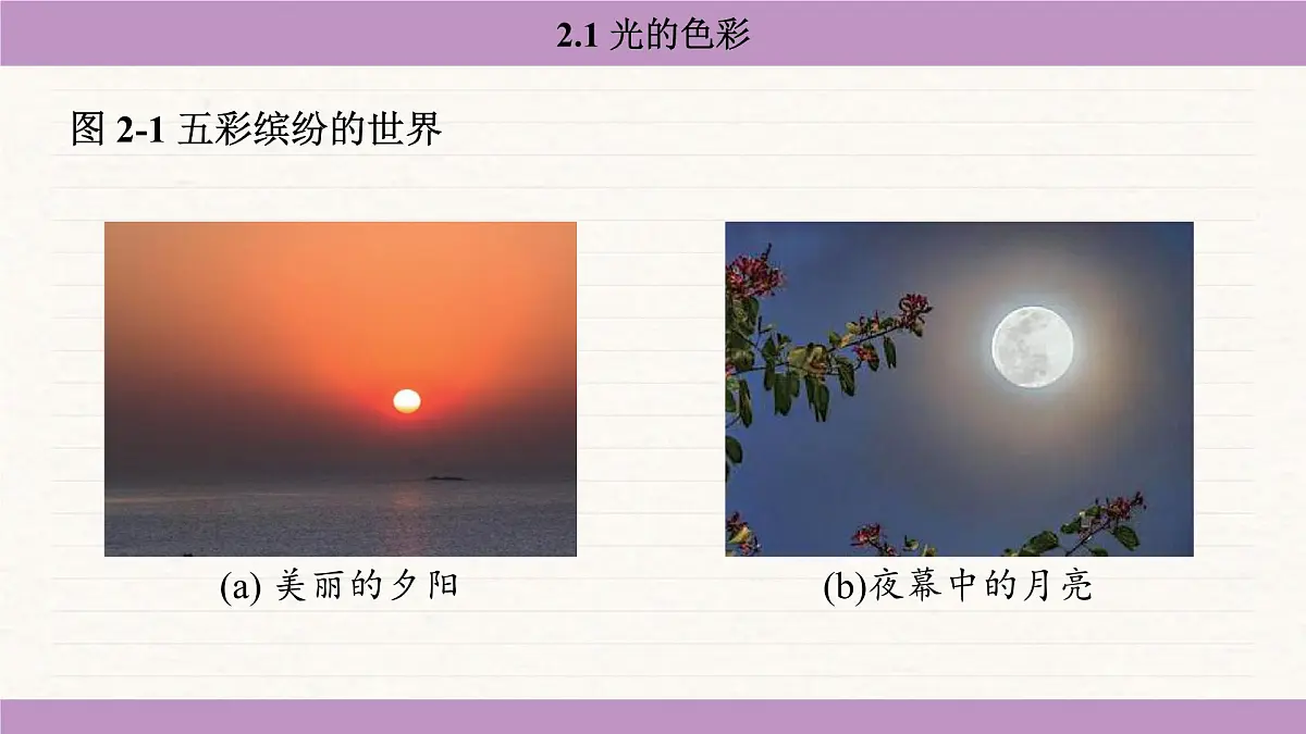 苏科版（2024）八年级物理上册 2.1 光的色彩（课件）第6页