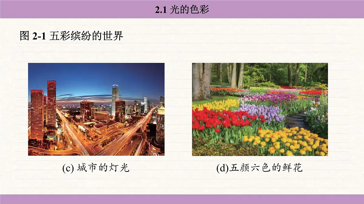 苏科版（2024）八年级物理上册 2.1 光的色彩（课件）第7页