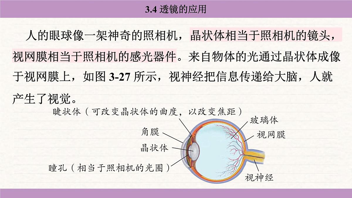 苏科版（2024）八年级物理上册 3.4 透镜的应用（课件）第6页