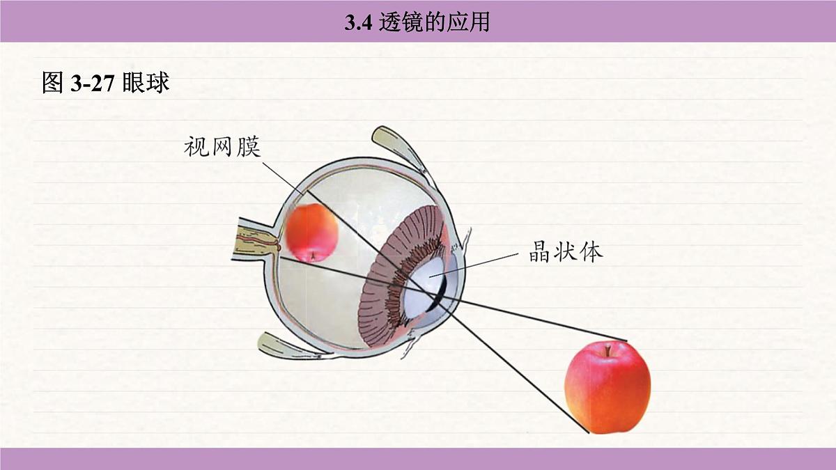 苏科版（2024）八年级物理上册 3.4 透镜的应用（课件）第7页