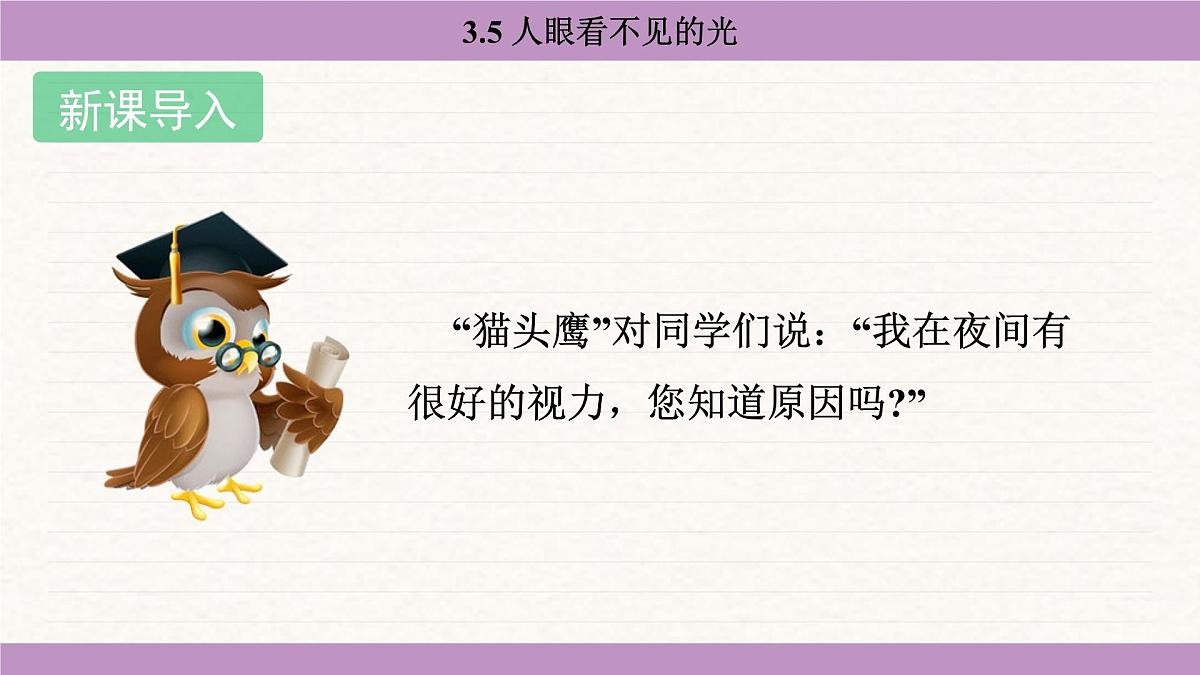 苏科版（2024）八年级物理上册 3.5 人眼看不见的光（课件）第3页