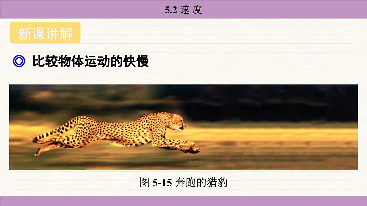 苏科版（2024）八年级物理上册 5.2 速度（课件）第4页