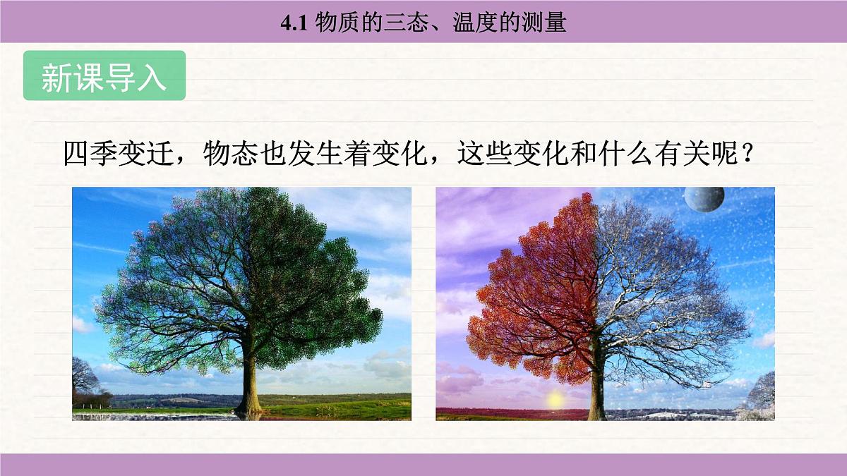 苏科版（2024）八年级物理上册 4.1 物质的三态、温度的测量（课件）第3页