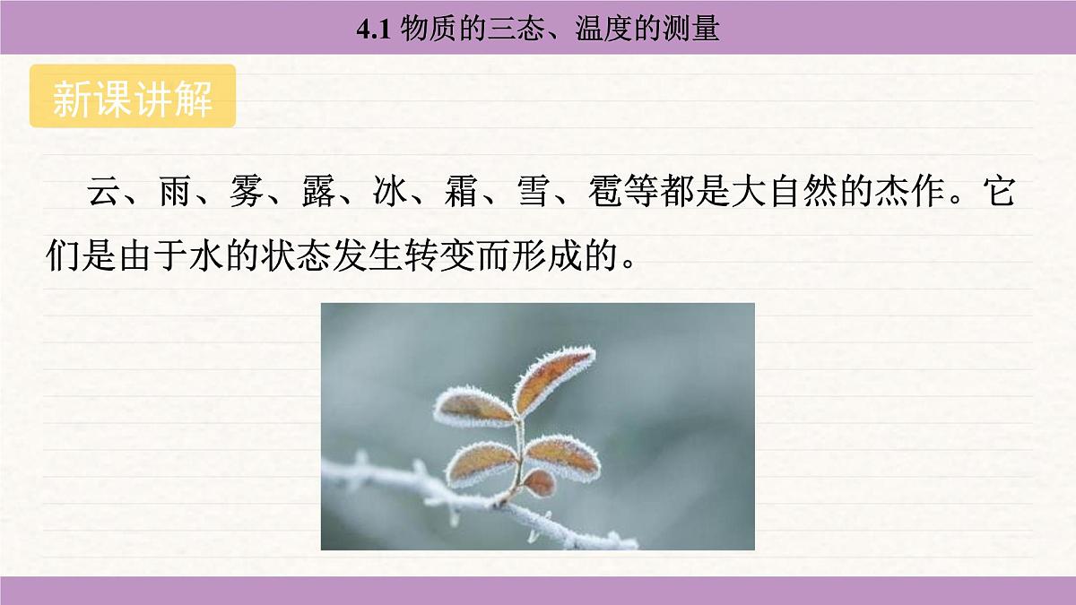 苏科版（2024）八年级物理上册 4.1 物质的三态、温度的测量（课件）第4页