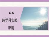 教科版（2024）八年級物理上冊 4.6 跨學科實踐：眼睛（課件）