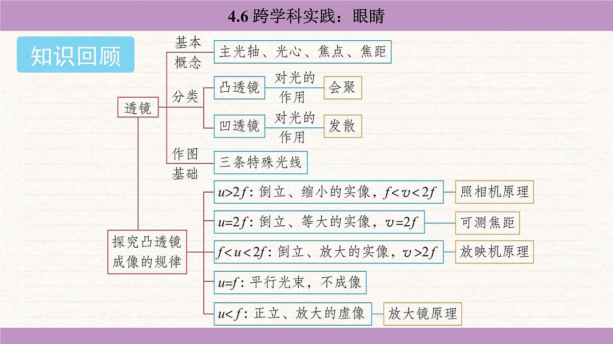 教科版（2024）八年级物理上册 4.6 跨学科实践：眼睛（课件）第2页