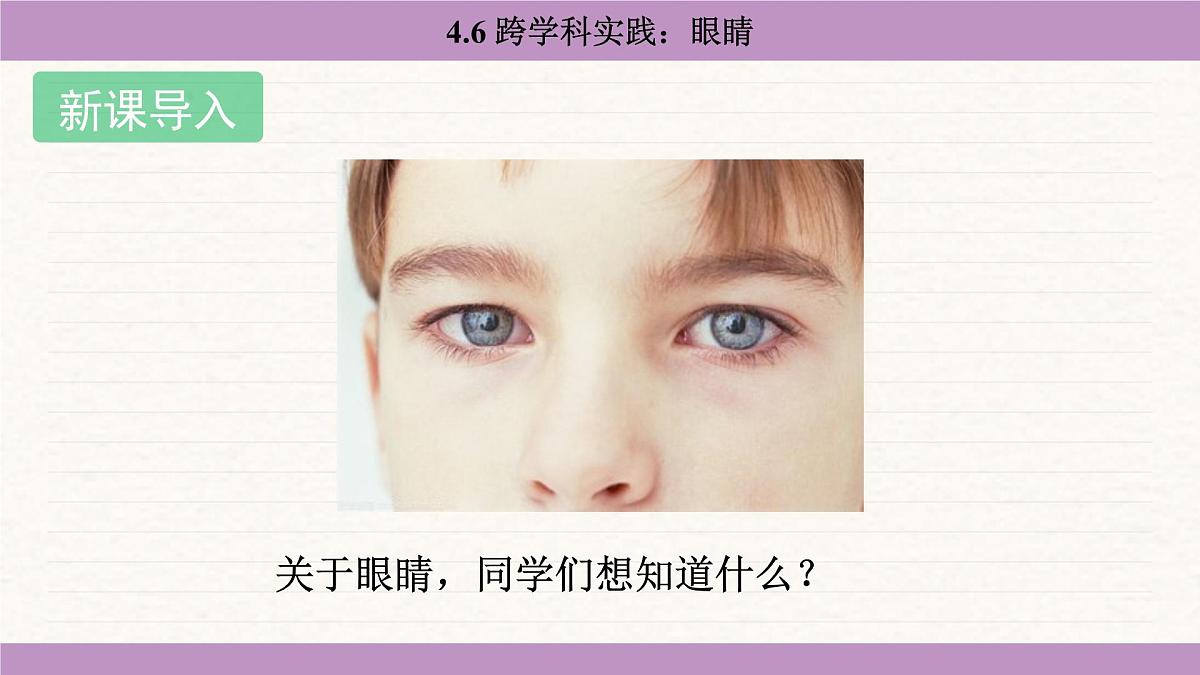 教科版（2024）八年级物理上册 4.6 跨学科实践：眼睛（课件）第3页