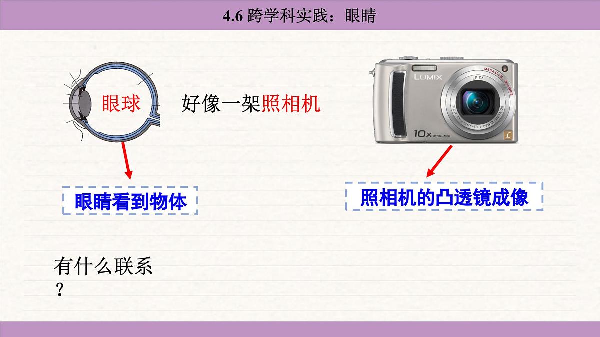 教科版（2024）八年级物理上册 4.6 跨学科实践：眼睛（课件）第4页
