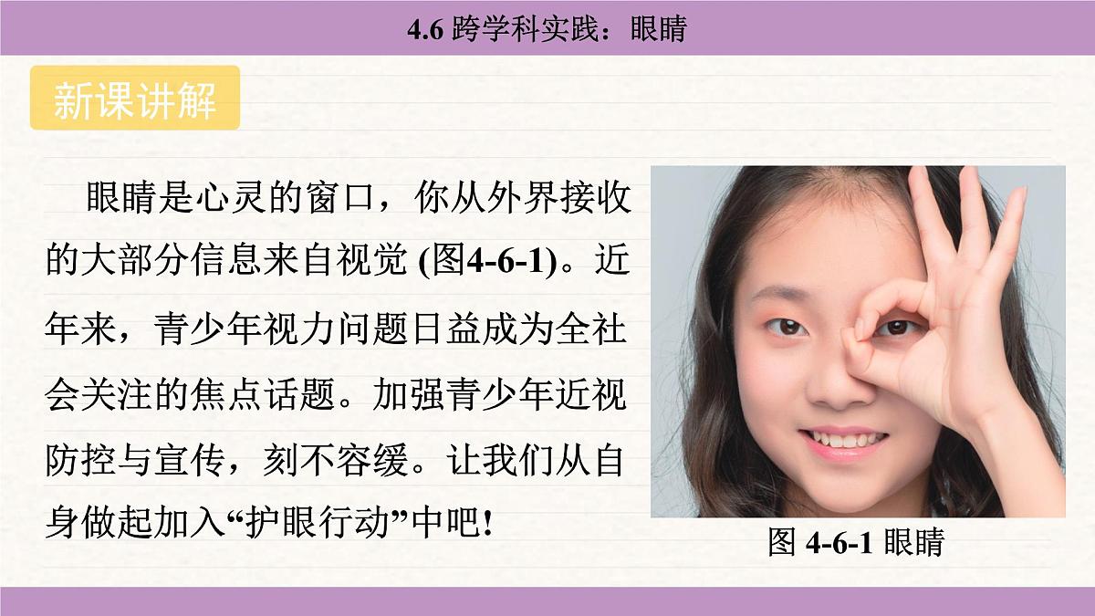 教科版（2024）八年级物理上册 4.6 跨学科实践：眼睛（课件）第5页