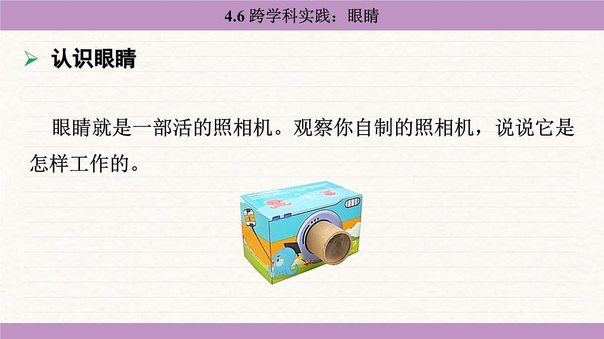 教科版（2024）八年级物理上册 4.6 跨学科实践：眼睛（课件）第7页