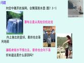 7.3 重力 課件 人教版（2024）初中物理八年級下冊