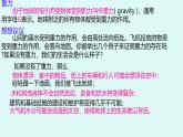 7.3 重力 課件 人教版（2024）初中物理八年級下冊