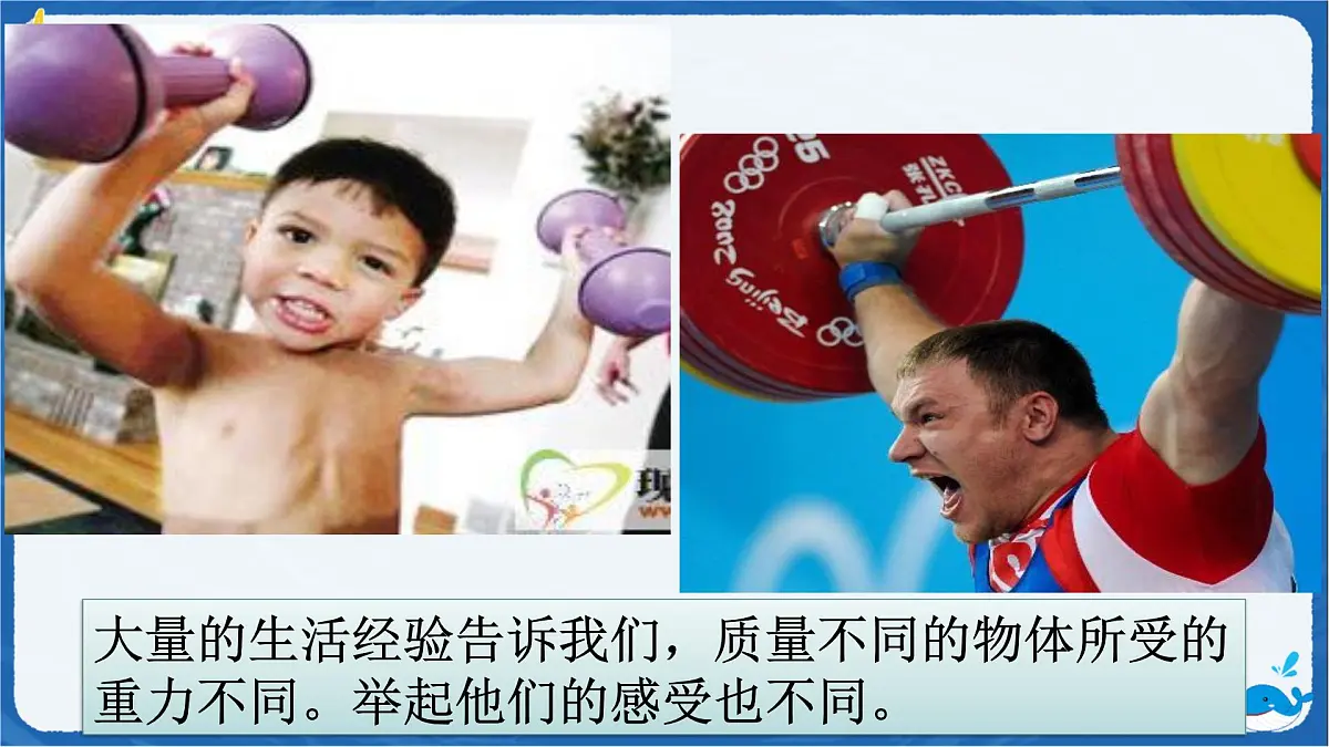7.3 重力 课件 物理人教版（2024）八年级下册第8页