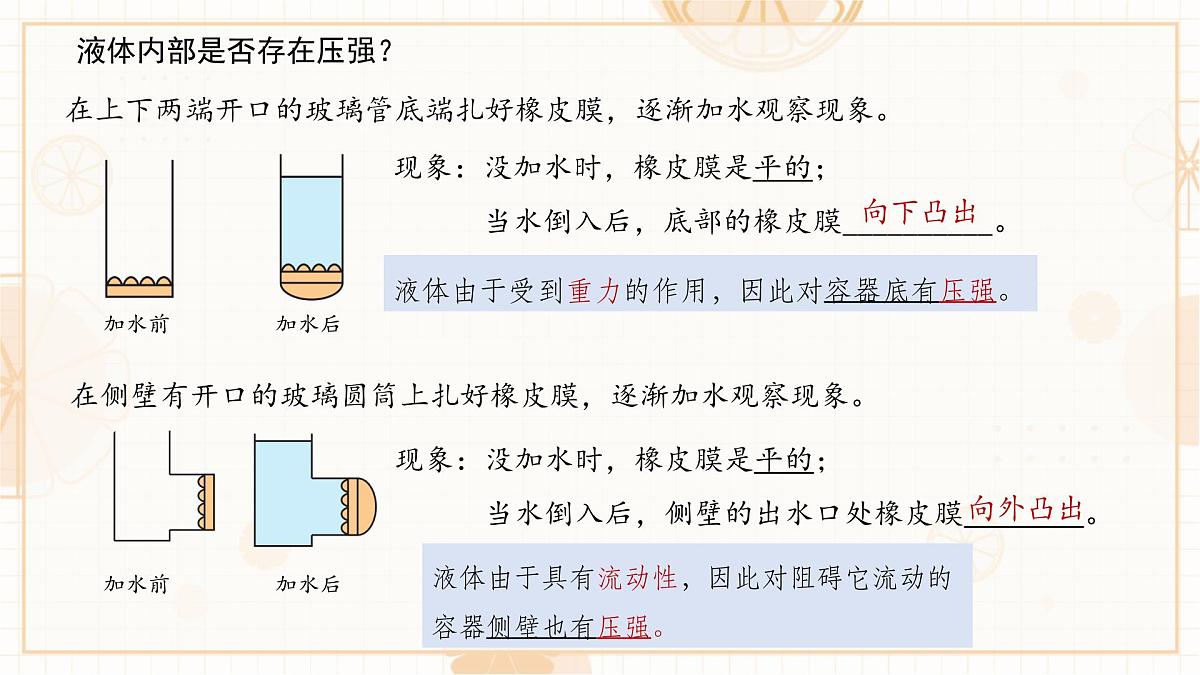 9.2 液体的压强 第1课时 课件 初中人教版（2024）物理八年级下册第5页