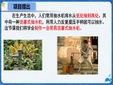 9.4 跨學科實踐：制作簡易活塞式抽水機 課件 物理人教版（2024）八年級下冊