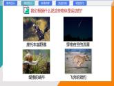 2.1 認識運動(教學課件）——初中物理教科版（2024）八年級上冊