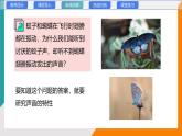 3.2 探究樂音的特性(教學課件）——初中物理教科版（2024）八年級上冊